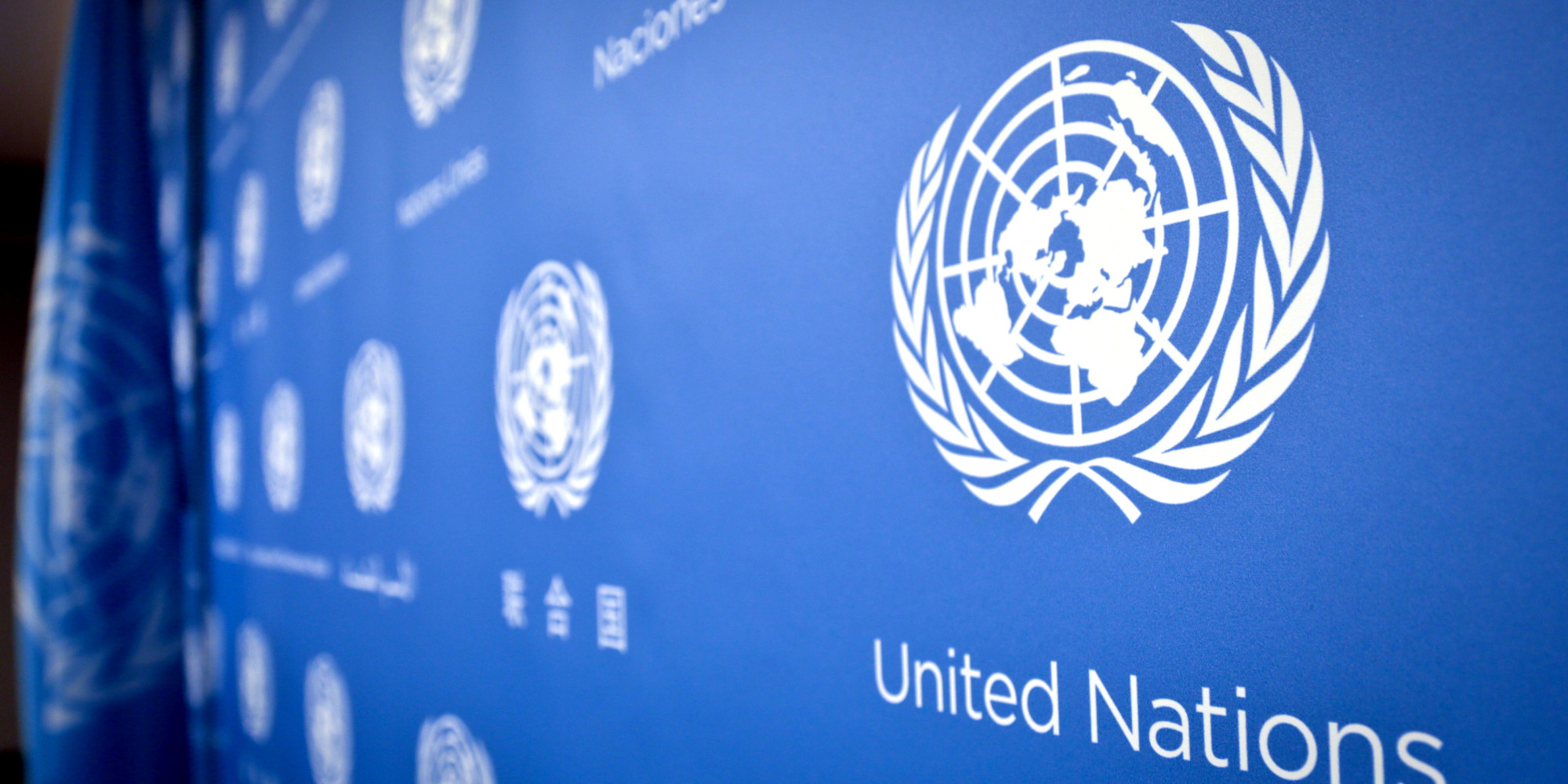 U.N. logo pattern a press conference background at the United Nations headquarters, Tuesday, Sept. 3, 2013.   (AP Photo/Bebeto Matthews)