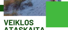 ataskaita